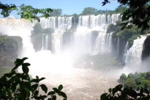 Alejandro Torres Fotografías