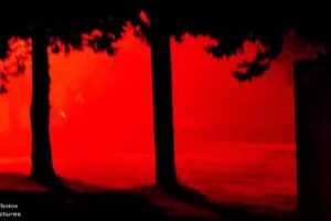 Aliens Pictures Media &ndash; GB producciones Audiovisuales