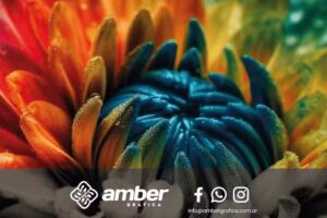 Amber Gr&aacute;fica