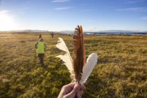 Andres Perez Moreno / Fotograf&iacute;a