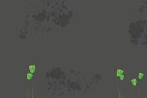 ARTEFENIX DISE&Ntilde;O GRAFICO Y WEB