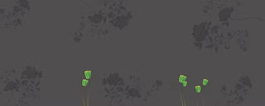 ARTEFENIX DISE&Ntilde;O GRAFICO Y WEB