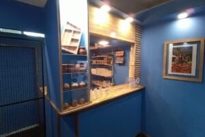 B15E Fotograf&iacute;a Bodas 15 A&ntilde;os Eventos