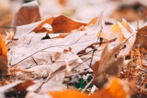 Ballon &ndash; Fotograf&iacute;a