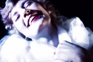 Bauducco Photo Studio