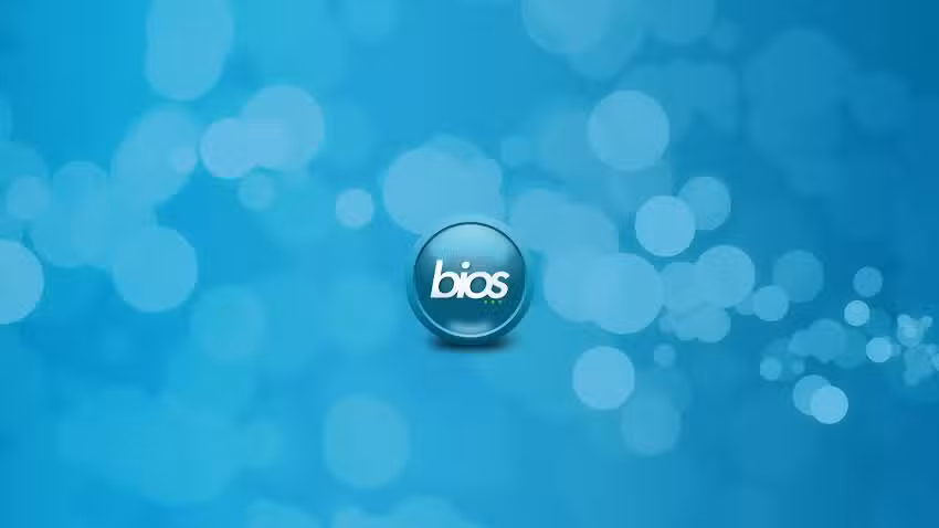 Bios Estudio Creativo