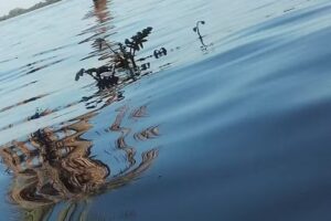 Black and White Fotograf&iacute;as