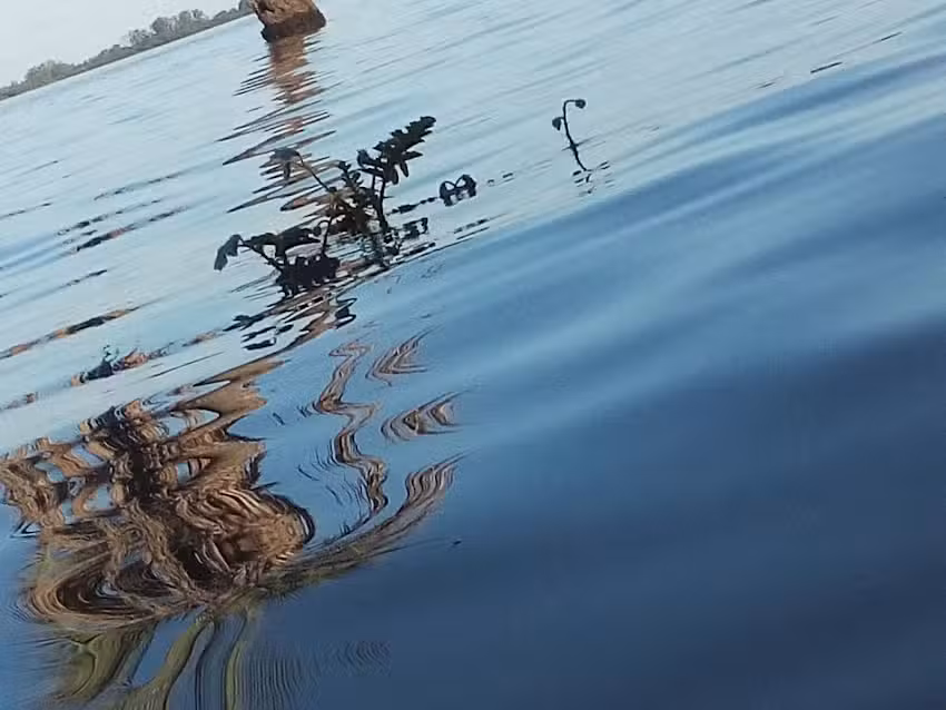 Black and White Fotograf&iacute;as