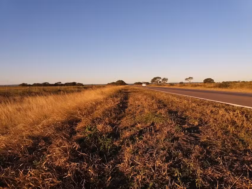 Blue & Black Producciones