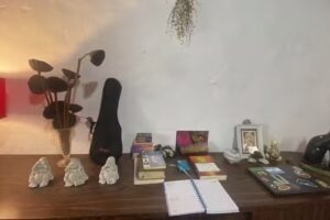 Casa Silvestra Salvaje