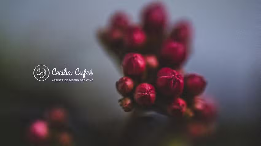 Cecilia Cufr&eacute; &ndash; Artista de Dise&ntilde;o Creativo