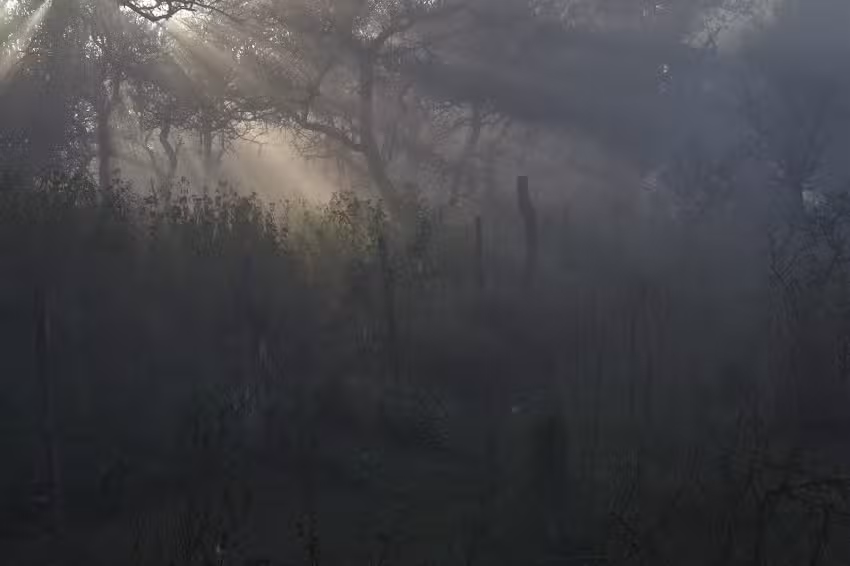 Curso de fotograf&iacute;a en Rosario, Taller de Fotografia inicial