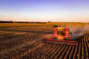 Damiani Drones. Tenemos otro punto de vista