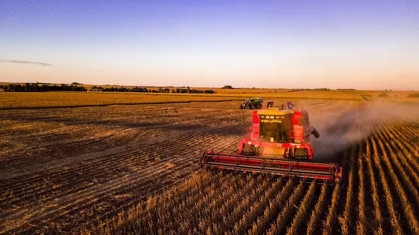 Damiani Drones. Tenemos otro punto de vista