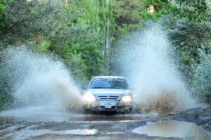 DEJA QUE TE BUSQUE “CAZADOR DE IMÁGENES “