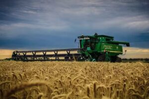 Diego N&uacute;&ntilde;ez fot&oacute;grafo