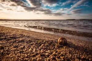 E. Sacraida fotograf&iacute;a