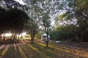 El Encuentro Fotograf&iacute;a de Aves