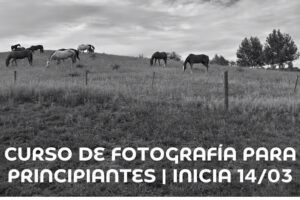 El Germinador – Escuela de Fotografía