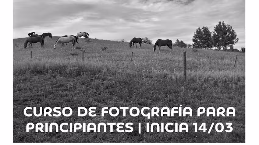 El Germinador &ndash; Escuela de Fotograf&iacute;a