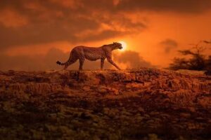 El Instituto de Fotograf&iacute;a &ndash; Argentina