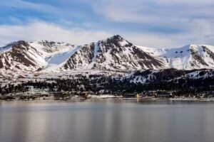 Elefanta Dise&ntilde;o Grafico y Fotograf&iacute;a