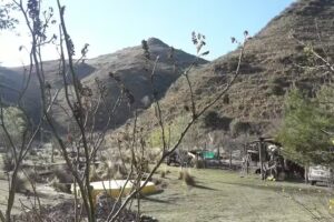 en foco Fotograf&iacute;a y V&iacute;deo