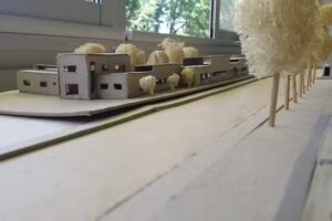 Equino parque fotografico