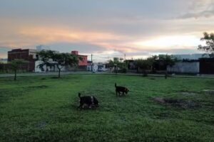 Estacion Fotografica