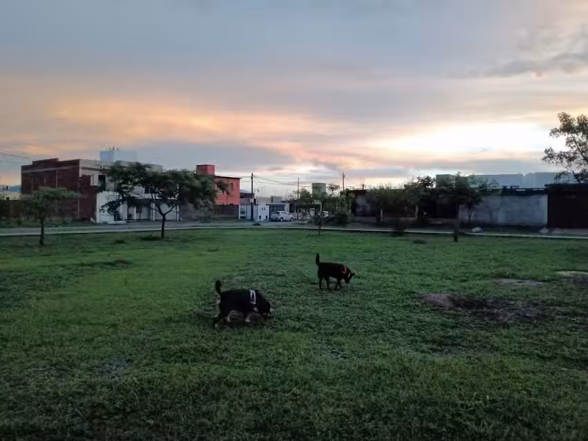 Estacion Fotografica