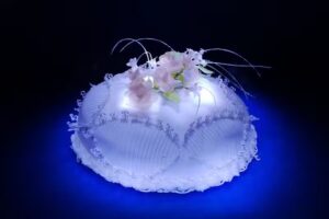 Estudio de Fotografia E54