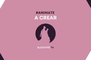 Estudio El Coyote TV