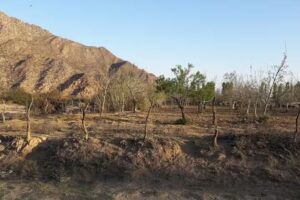 Estudio Fotogr&aacute;fico Agustina Fotocolor