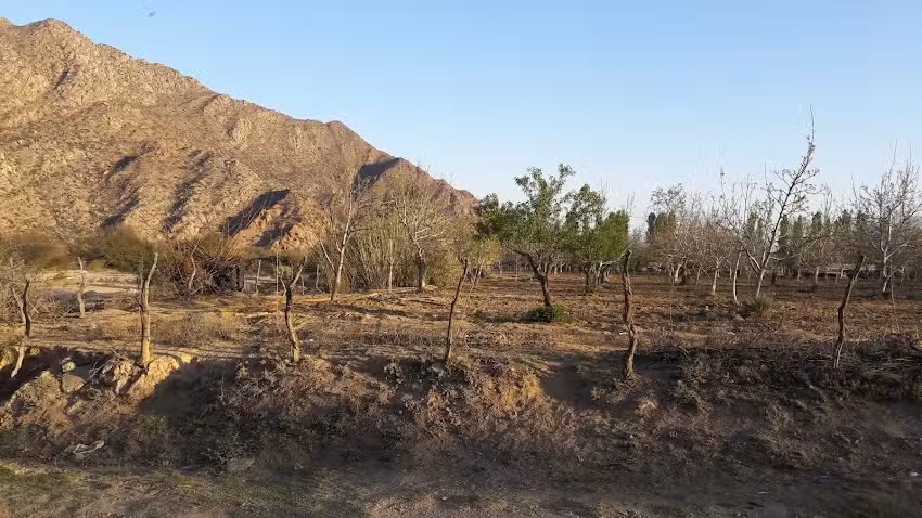 Estudio Fotogr&aacute;fico Agustina Fotocolor