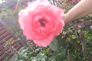 Estudio Fotografico Samii Pagliero Photograpy