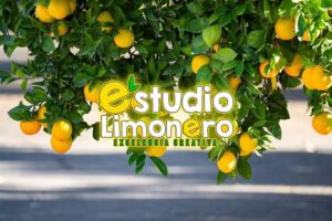 Estudio Limonero