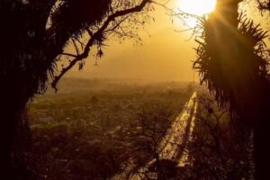 FABIAN GONZALEZ FOTOGRAFO