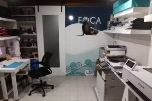 Foca una impresion