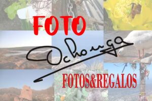 Foto ochonga