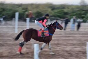 Fotochard digital &ldquo;EL QUEBRACHAL&rdquo;