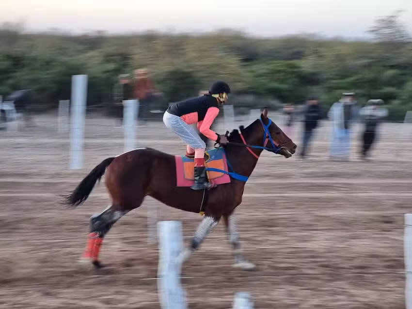 Fotochard digital &ldquo;EL QUEBRACHAL&rdquo;