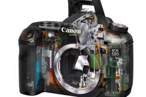 FOTOFLASH reparacion de equipos fotograficos,analogicas,digitales,flash de estudio