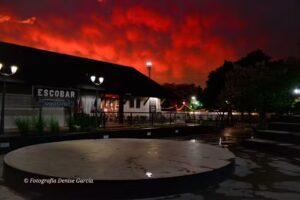 Fotograf&iacute;a DG