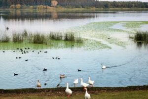 Fotografía Kari Hirch