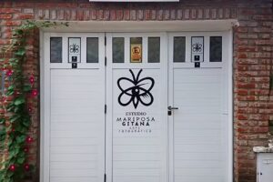 Fotograf&iacute;a Profesional Mariposa Gitana | Servicio Anexo Ella Manda