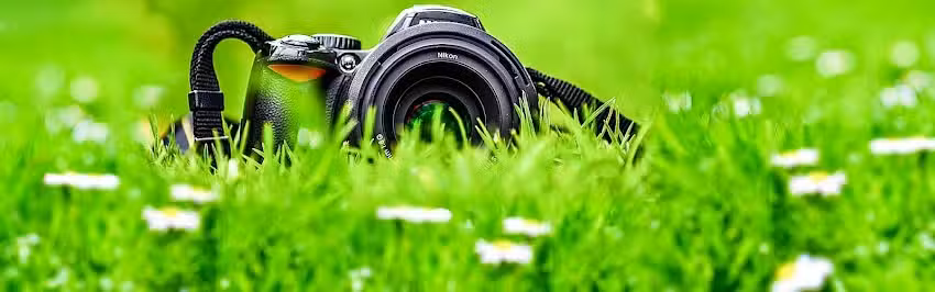 Fotograf&iacute;a Santana