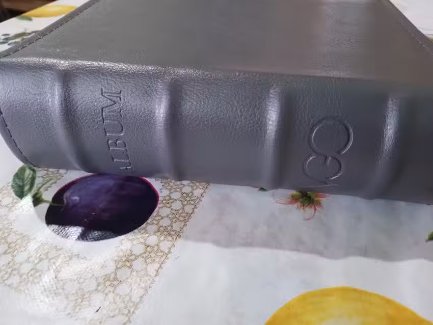 Fotograf&iacute;a Tyz