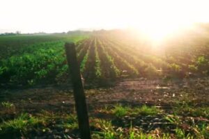 Fot&oacute;grafo de Eventos Salta &ndash; Nano