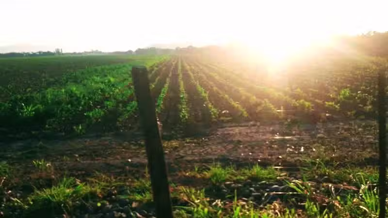 Fot&oacute;grafo de Eventos Salta &ndash; Nano