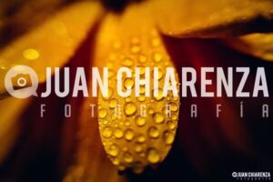 Fotógrafo Juan Chiarenza